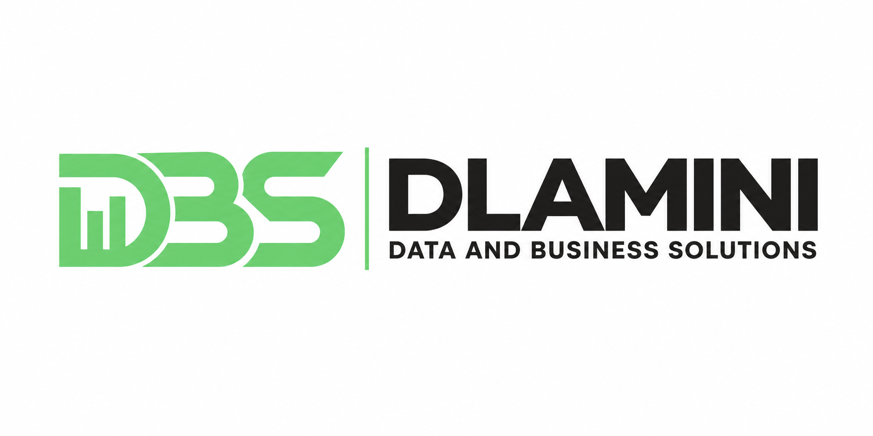 DBS — Dlamini Data and Business Solutions